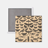 undefiniert magnet (Vorderseite/Rückseite)