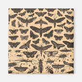 undefiniert magnet (Vorne)