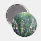 undefiniert magnet (Vorderseite/Rückseite)