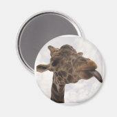 undefiniert magnet (Vorderseite/Rückseite)