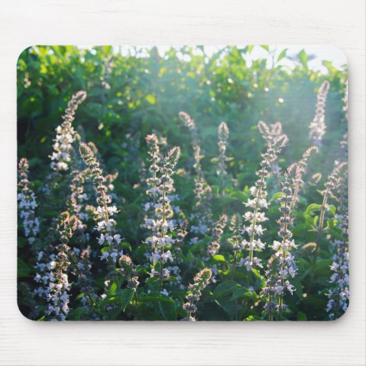 undefiniert mousepad (Vorne)