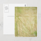 undefiniert postkarte (Vorne/Hinten)