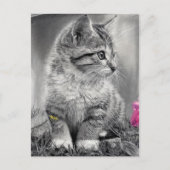 undefiniert postkarte (Vorderseite)