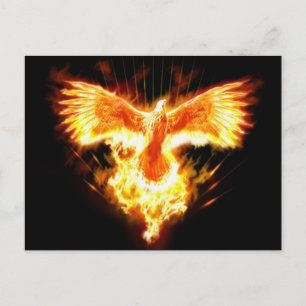 undefiniert postkarte