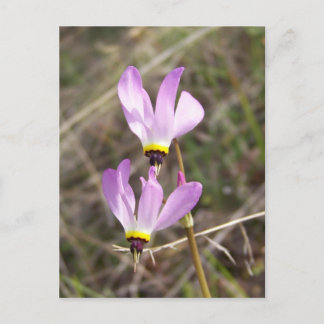 undefiniert postkarte