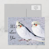 undefiniert postkarte (Vorne/Hinten)