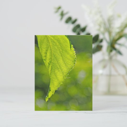 undefiniert postkarte (Stehend Vorderseite)