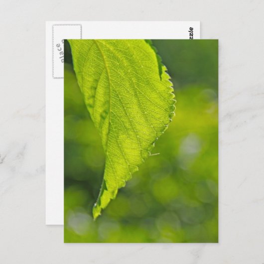 undefiniert postkarte (Vorne/Hinten)