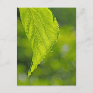 undefiniert postkarte