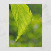 undefiniert postkarte (Vorderseite)