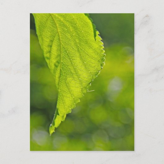 undefiniert postkarte (Vorderseite)