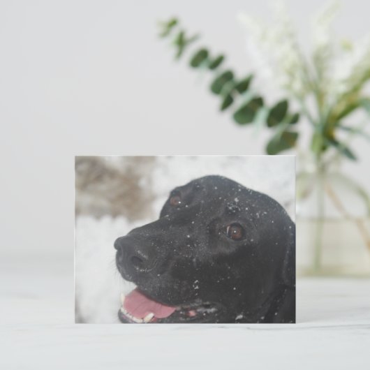 undefiniert postkarte (Stehend Vorderseite)