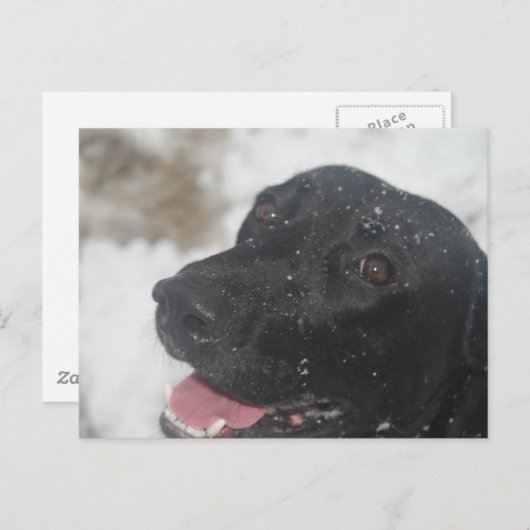 undefiniert postkarte (Vorne/Hinten)