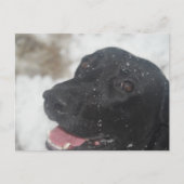 undefiniert postkarte (Vorderseite)