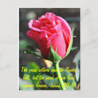 undefiniert postkarte