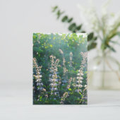 undefiniert postkarte (Stehend Vorderseite)