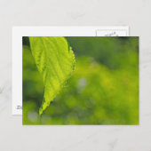 undefiniert postkarte (Vorne/Hinten)