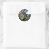 undefiniert runder aufkleber (Tasche)