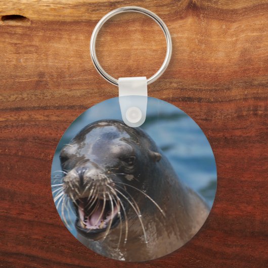 undefiniert schlüsselanhänger (Vorderseite)