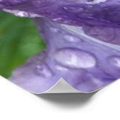 Under the Rain Poster (Ecke)