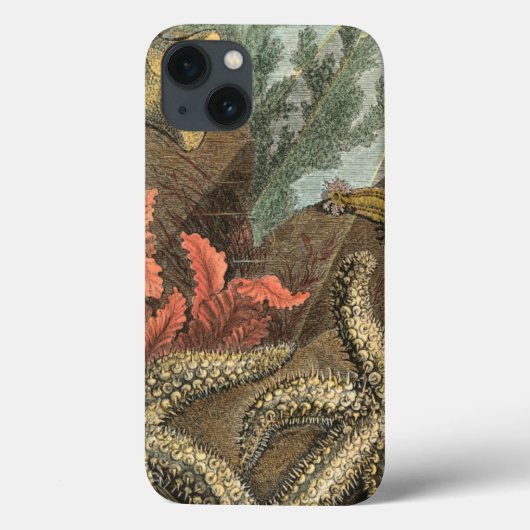 Under the Sea Case-Mate iPhone Hülle (Rückseite)