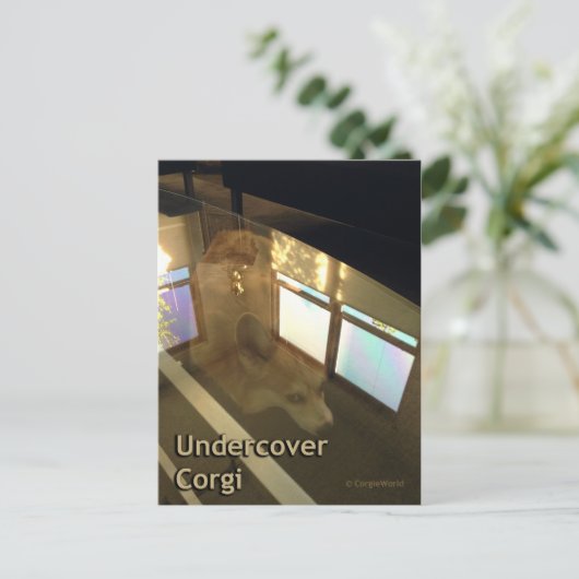 Undercover Corgi Postcard Postkarte (Stehend Vorderseite)