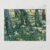 UnderGrowth Trees Woods Vincent van Gogh Postkarte (Vorderseite)