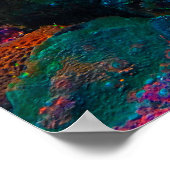 Undersea Tropical Coral Reef Poster (Ecke)