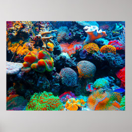 Undersea Tropical Coral Reef Poster
