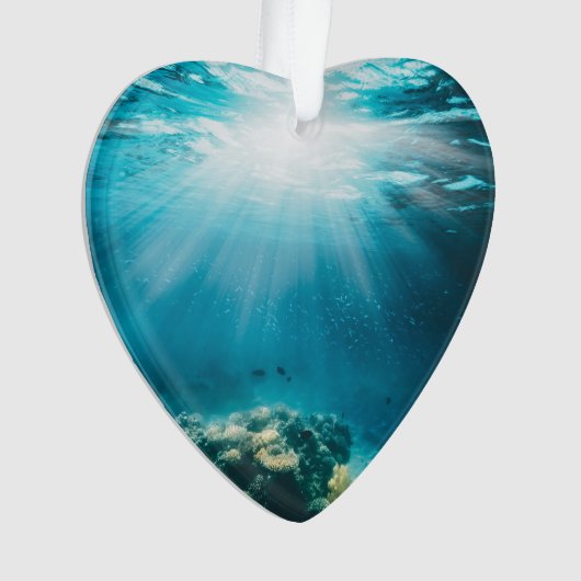 Undersea Underwater Diving  Dated Photo Custom Ornament (Vorderseite)