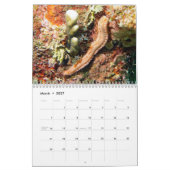 Underwater Calendar -- Roatan, Honduras Kalender (Mär 2027)