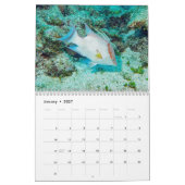 Underwater Calendar -- Roatan, Honduras Kalender (Jan 2027)