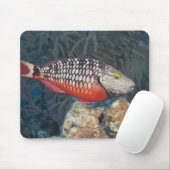 Underwater Life, FISH: ein farbenfroher Stoplight Mousepad (Mit Mouse)