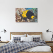 Underwater Life, FISH: Eine bunte Rock Beauty Leinwanddruck (Insitu (Schlafzimmer))