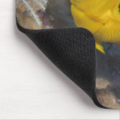 Underwater Life, FISH: Eine bunte Rock Beauty Mousepad (Ecke)