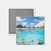 Underwater Life Magnet (Vorderseite/Rückseite)