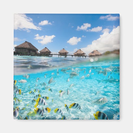 Underwater Life Magnet (Vorne)