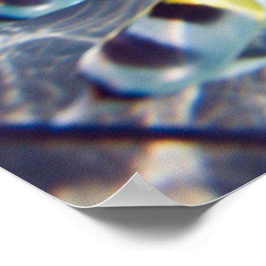 Underwater Life Poster (Ecke)