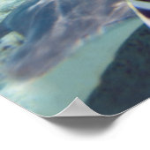 Underwater Life Poster (Ecke)