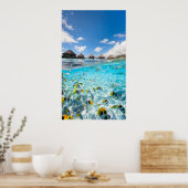 Underwater Life Poster (Küche)