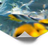 Underwater Life Poster (Ecke)