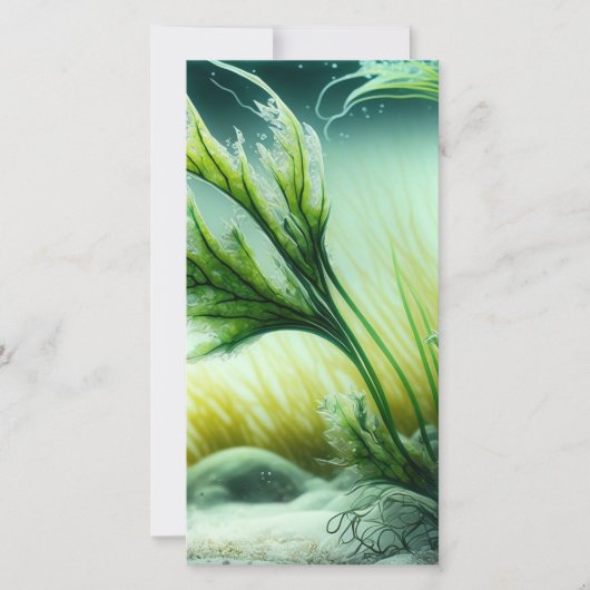 Underwater Majesty (Vorderseite)