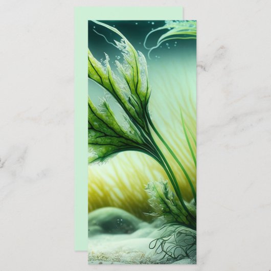 Underwater Majesty (Vorne/Hinten)