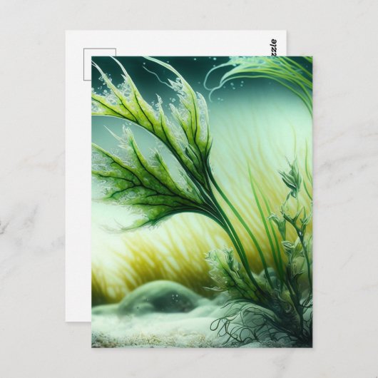 Underwater Majesty Postkarte (Vorne/Hinten)