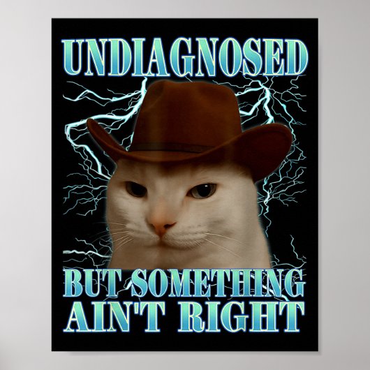 Undiagnosed But Soing Ain't Right Funny Silly Cat  Poster (Vorne)