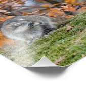 Uneasy-Begegnung Fotodruck (Ecke)