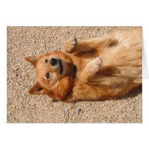 Unebenheit des Bauches 0006Copper