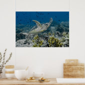 Unechte Karettschildkröte Schwimmen Poster (Küche)