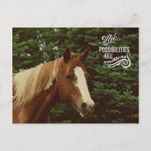 Unendliche Möglichkeiten Paint Horse Mare Postkarte