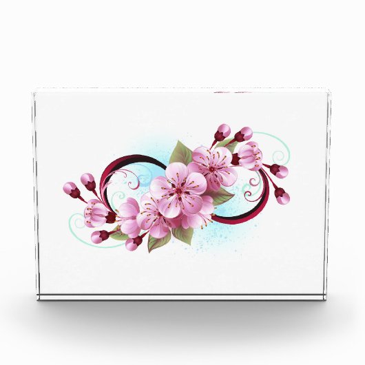 Unendlichkeit mit Sakura Blossom-Blume Fotoblock (Vorderseite)